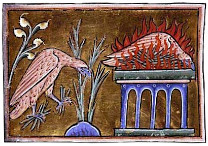 unused medieval phoenix artwork