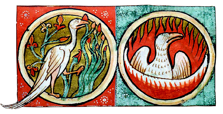 another unused medieval phoenix artwork