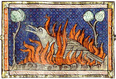 third unused medieval phoenix artwork